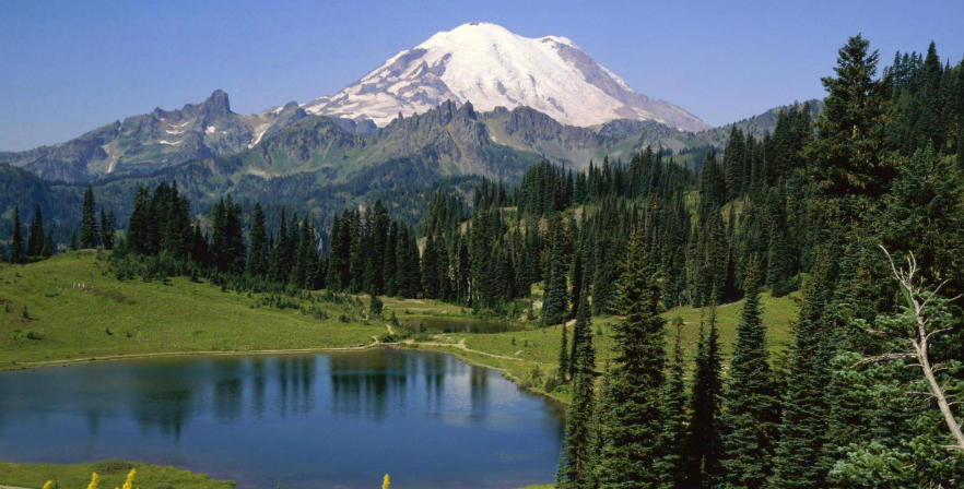 深圳零零柒壹壹安防科技公司轮播图4